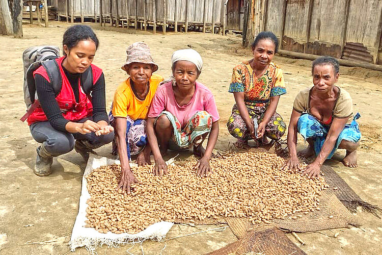 Women showing peanut harvest
