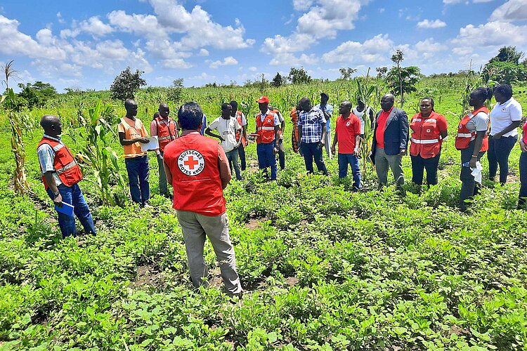 Group of volunteers on a field