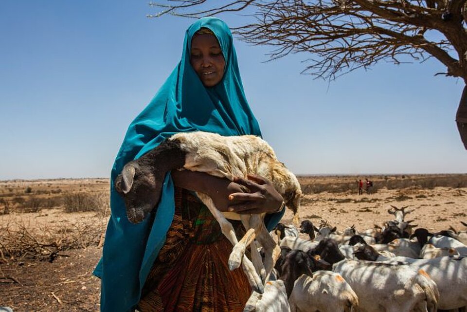 Somalia Somalia