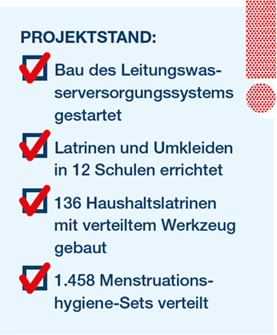 Projektfortschritt Grafik mit Projekterrungenschaften