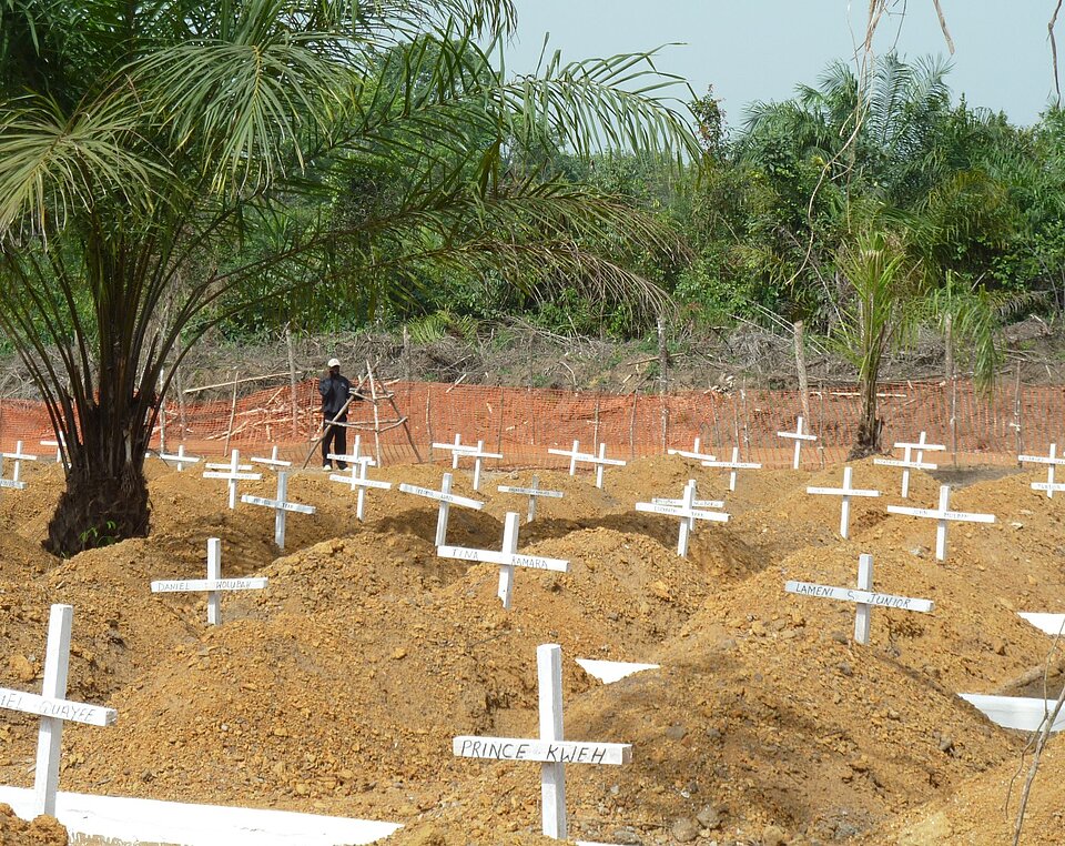 Gräber von Ebolatoten in Liberia Auf einem Feld sieht man viele weiße Kreuze auf Gräbern