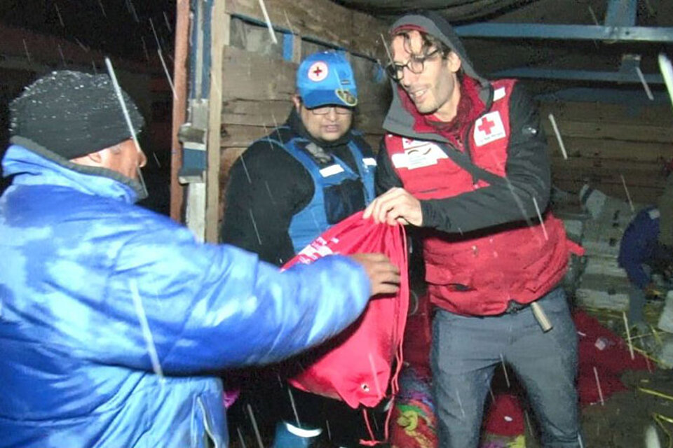 Winterhilfe für Alpakas Helfer des Roten Kreuz verteilen Hilfsgüter in Peru
