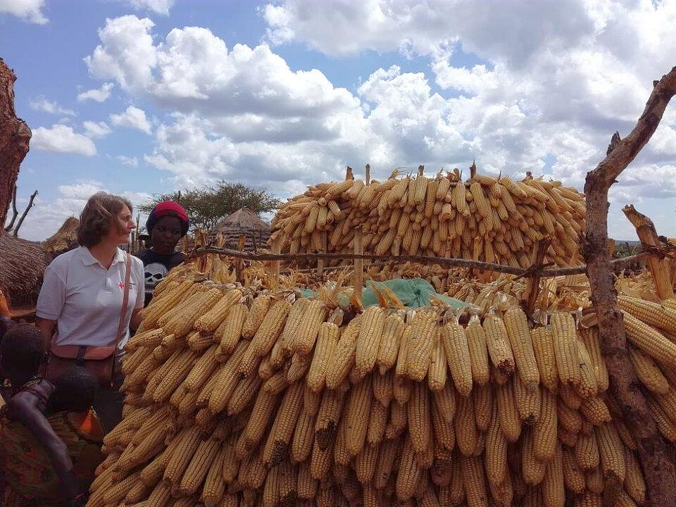 DRK-Mitarbeiterin mit getrockneten Maiskolben in Uganda Eine Frau steht neben einem Gerüst, auf dem getrocknete Maiskolben sind. Im Hintergrund blauer Himmel mit Wolken.