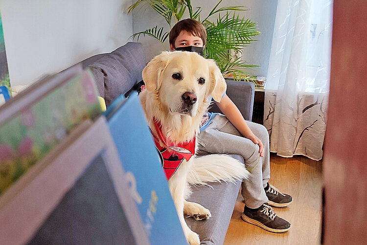 Therapiehund Milow Therapiehund Milow mit einem Jungen