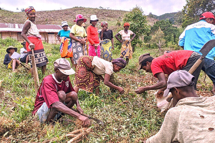 People working on a field