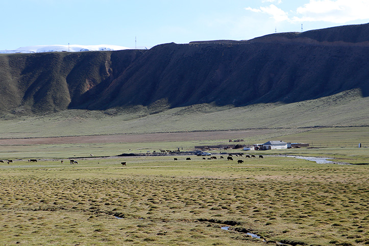 Kirgisische Landschaft karge Landschaft vor Bergkette